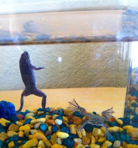 You can learn a lot from the tiniest of things.