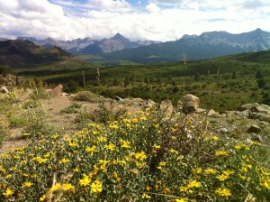 A glimpse of our wonderful world