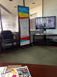 My view for three hours this morning. 