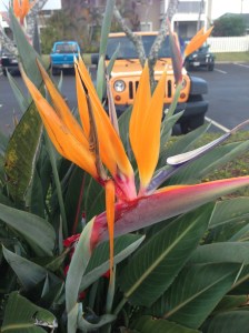 On marker of paradise...at least for a gal from Colorado