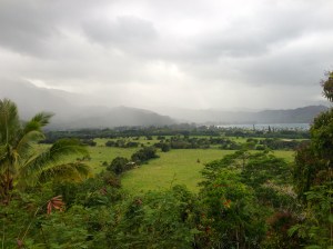 Misty Hanalei
