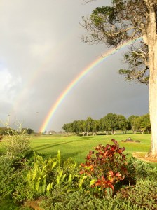 If I ever found the end of the rainbow, I'm pretty sure someone would have gotten there a minute before me and claimed the pot of gold. 