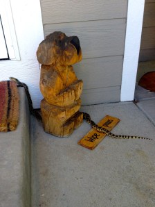 A very obedient bull snake prepares to use our doormat. 