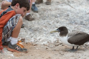 In the Galapagos, Luke and a Nazca booby enter into each other's inherent bunniness. 