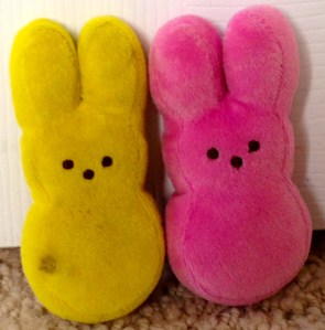 These two bunnies may resemble each other but they are unique in their bunniness. 