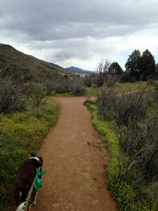 Don't let the clouds fool you