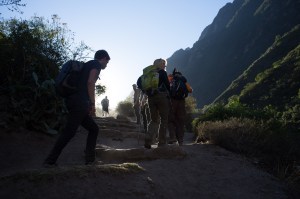 Quite literally up with the roosters