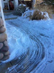 Dead trees tell no tales