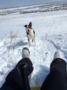 Just a girl, her dog, and a sled