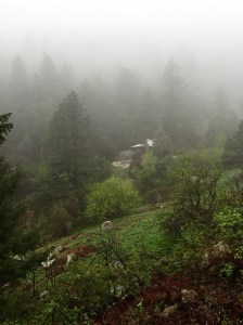 An abandoned house in the fog