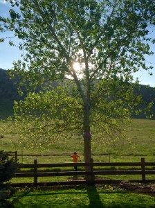 In a world of his own