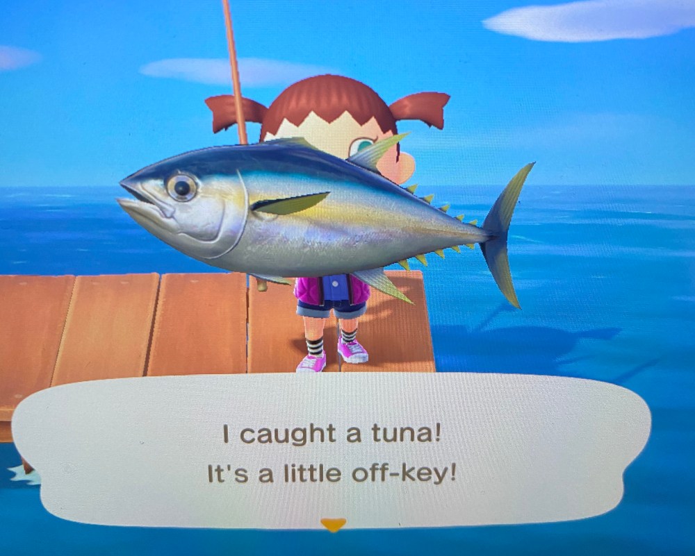 15C8D0D2-48F2-4A3C-BCD9-360A4185FF4B_1_201_a