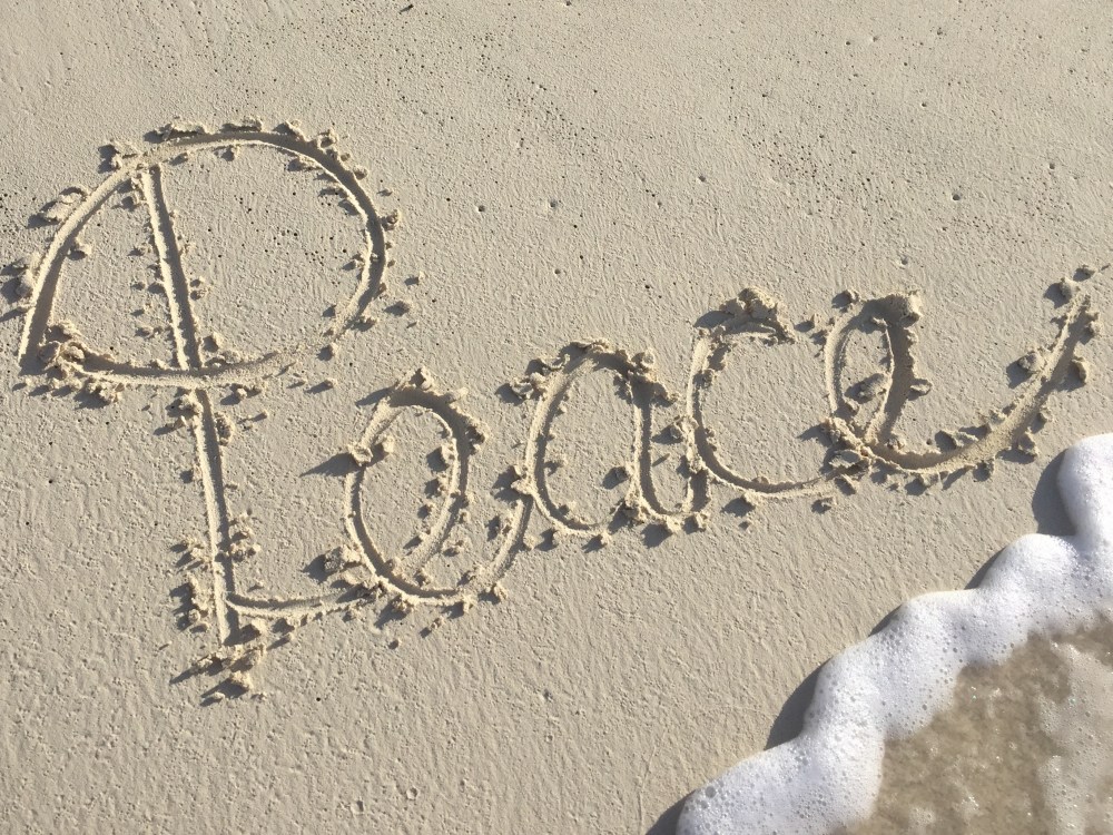 30C7937E-9406-4C21-9E51-8960CE5189B4_1_201_a