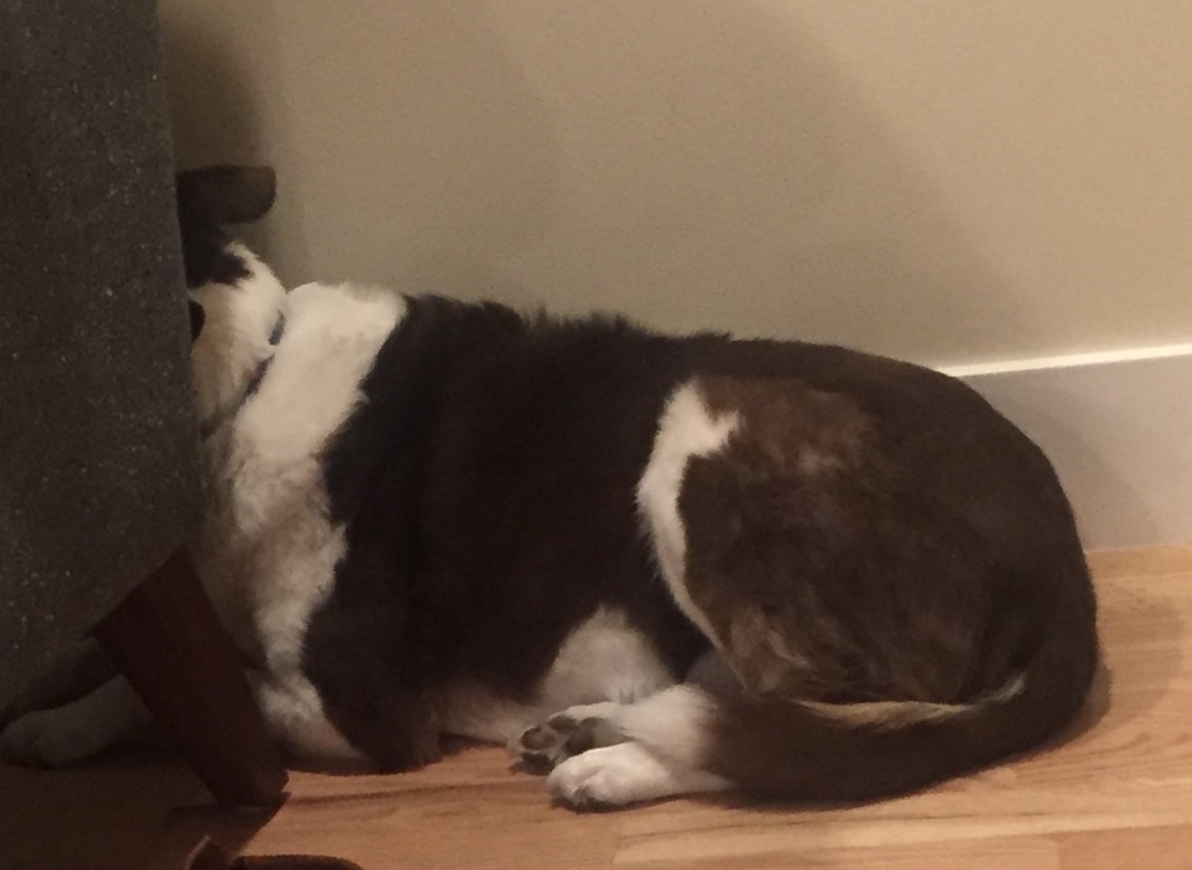 86CE53AE-96E7-474A-B985-75C9D942D538_1_201_a